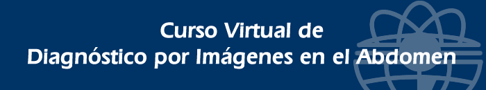 Curso Virtual de Diagnóstico por Imágenes en el Abdomen